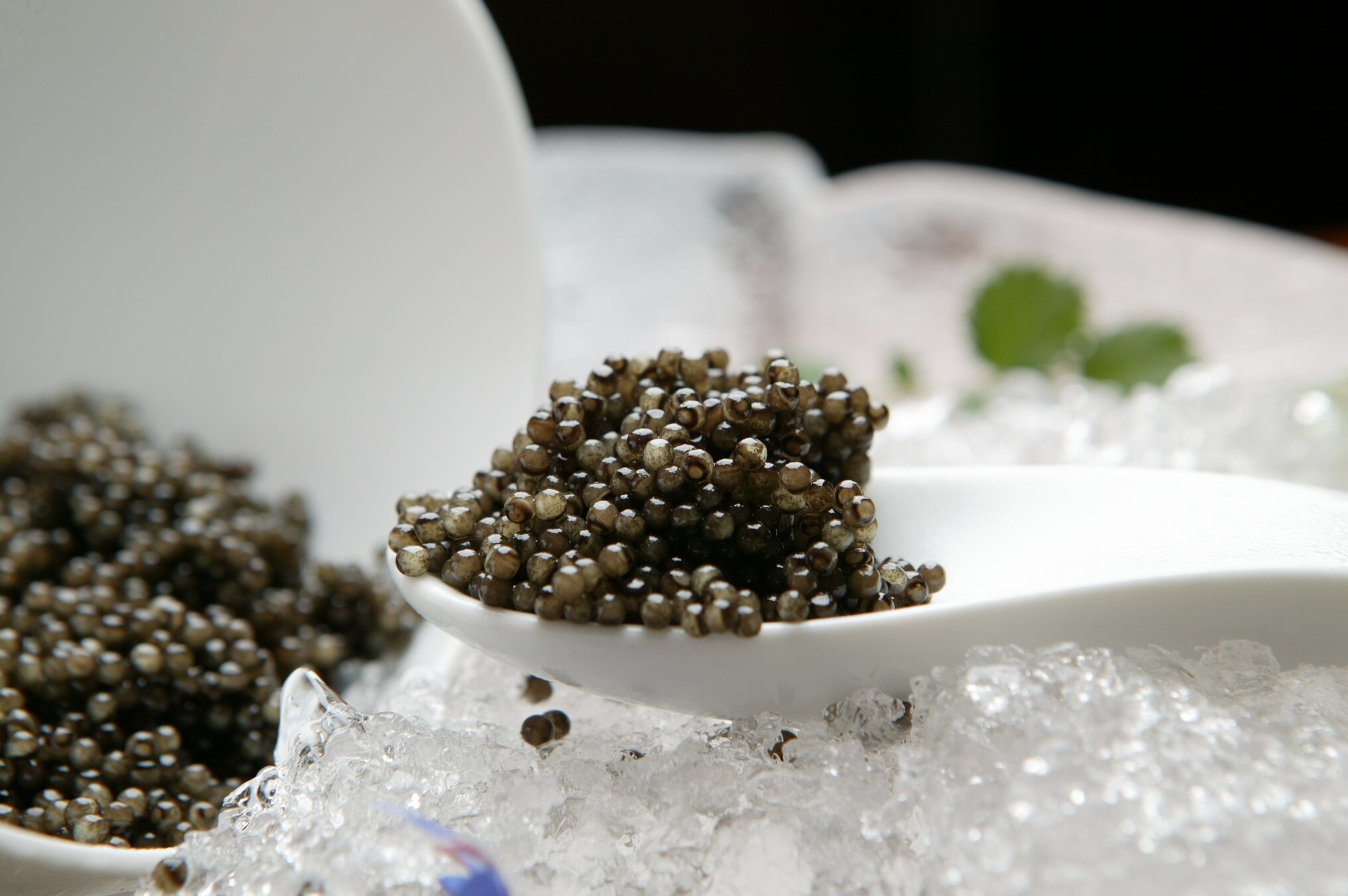 Caspian Monarque Caviar