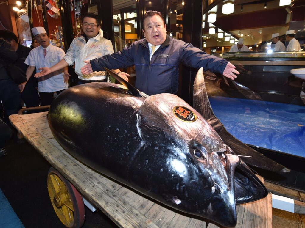 Threatened Bluefin Tuna Sells For $3 Million In Tokyo Market 