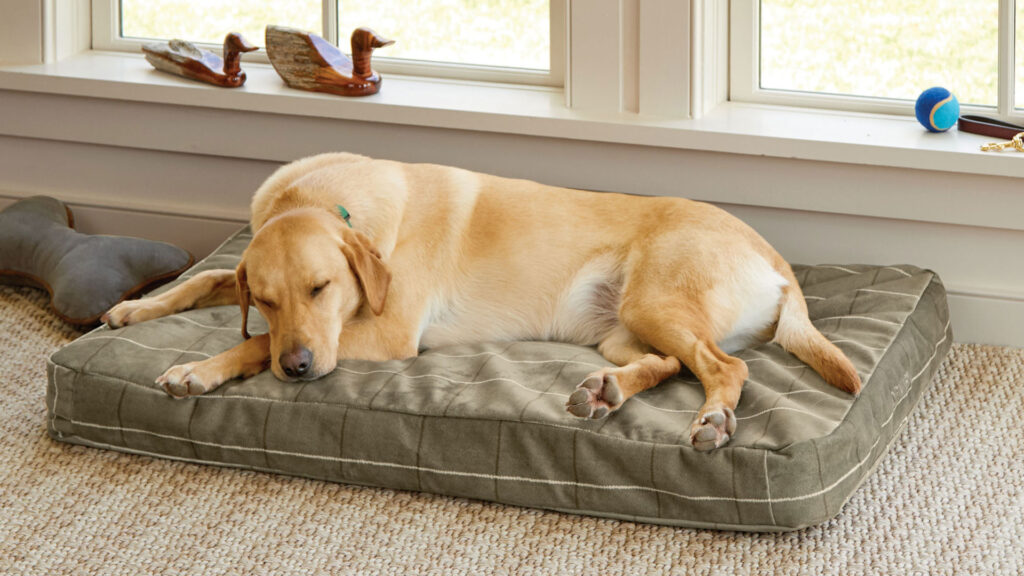 Luxury Dog Accessories - Orvis Memory Foam Dog Bed