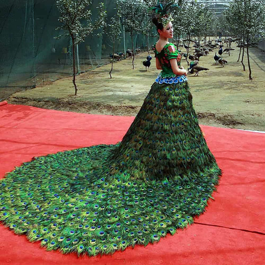 Most expensive wedding dresses - Peacock Wedding Dress – $1.5 million