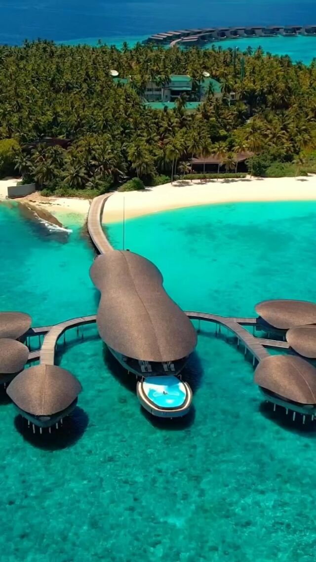#luxtionary #luxury #luxurylifestyle #island #maldives #travel #reels #explore #holiday #trip #vibes #followforfollowback #followers #reels #reelsinstagram #love #honeymoon #couplegoals #couples